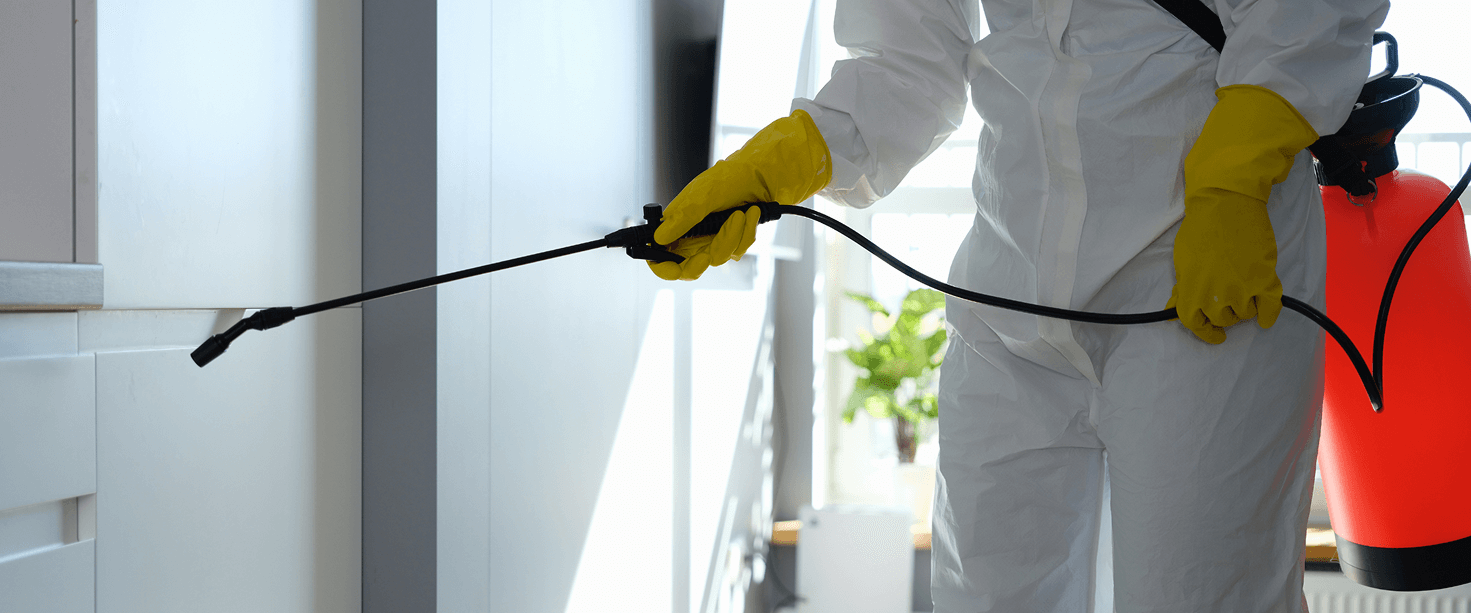 disinfection services in pune