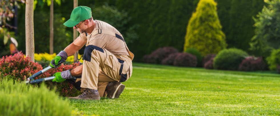 Blog 1 Banner Image Why Professional Landscaping Is Key To Enhancing Property Value In Bangalore (1)