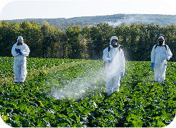 IPM Solutions