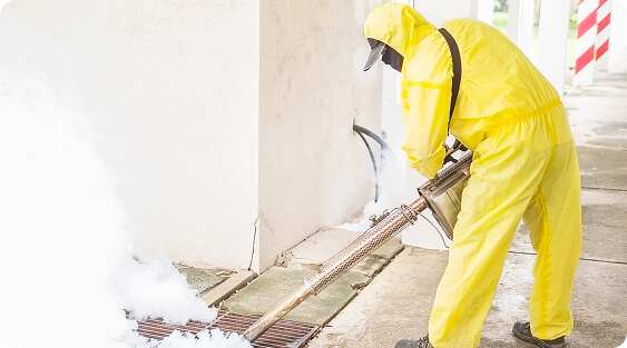 Pest Control Services in Bangalore