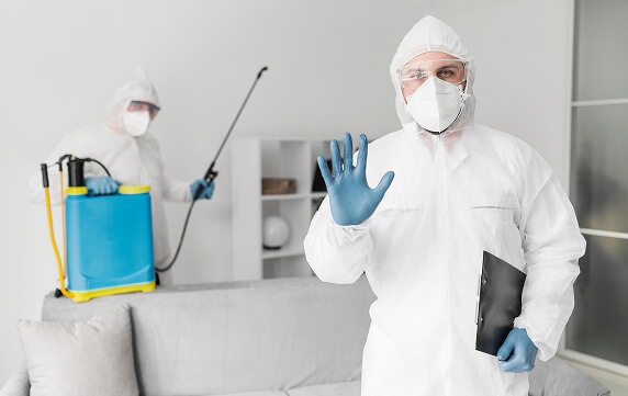Pest Control Services in Bangalore