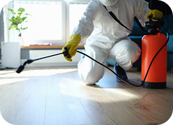 Integrated Pest Management (IPM)