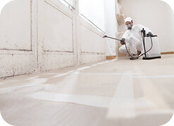 Customized Pest Solutions