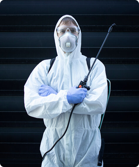 Pest Control Services in Hyderabad