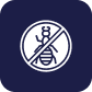 Bed Bug Treatment
