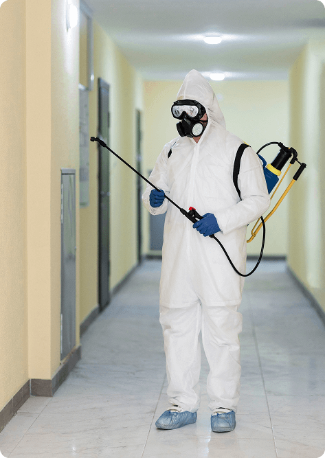 Pest Control Services In Ahmedabad Img1