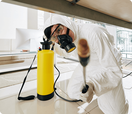 Pest Control Services In Ahmedabad Img2