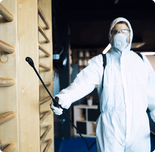 Pest Control Services In Ahmedabad Img3